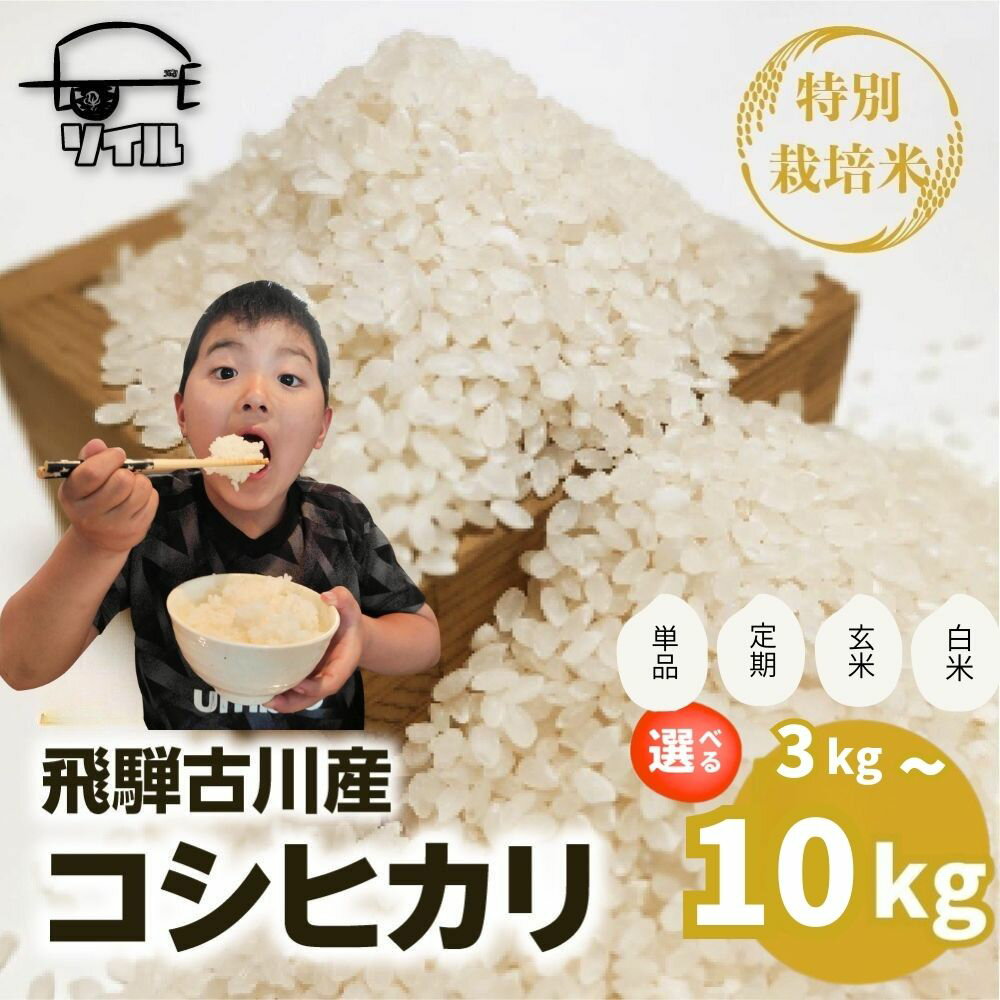 【ふるさと納税】 《先行予約》 令和8年産 選べる / 内容量 / 単品or定期便 / 玄米or精白米 / 飛騨産 特別栽培米 こしひかり 3kg 5kg 10kg コシヒカリ 新米 お米 米 精米 ごはん ご飯 特A 単一原料米 定期 定期便 5キロ 10キロ 6か月 ソイル 飛騨市 12000円 20000円 40000円