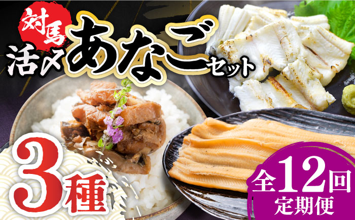 
【全12回定期便】対馬 産 活〆 あなご セット《対馬市》【対馬地域商社】九州 長崎 煮あなご 佃煮 アナゴ [WAC020]冷凍 新鮮 あなご 穴子 下処理 寿司 あなご重 天ぷら おかず もう1品 おつまみ おにぎり ちらし寿司 海鮮 魚介 長崎 対馬 揚げ物 定期便 毎月届く
