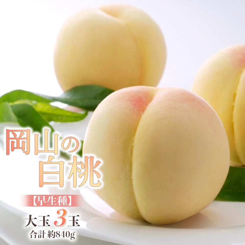 【ふるさと納税】桃 2026年 岡山の 白桃 大玉3玉 早生種 合計約840g もも モモ 岡山県産 国産 フルーツ 果物 ギフト | もも フルーツ 果物 くだもの 食品 人気 おすすめ 送料無料