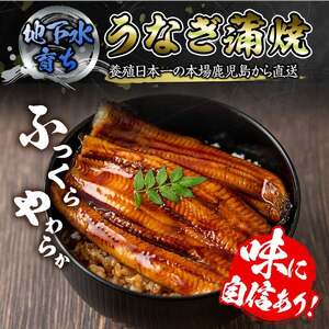 鹿児島産うなぎ180g×5尾 合計900g 2448