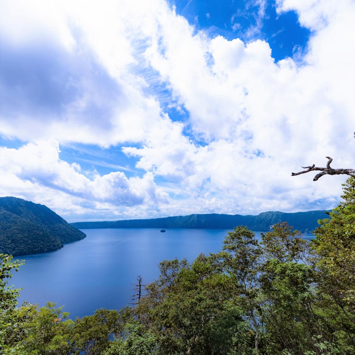 べつかいの牛乳屋さん　1L 12本入【高島屋選定品】（TK0000053）