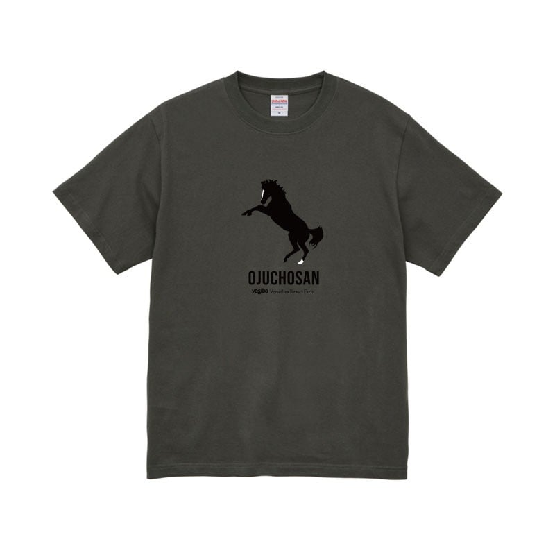 
            【オジュウチョウサン】Ｔシャツ 選べる４サイズ【Ｓ・М・Ｌ・ＸＬ】ヘイジーブラック 【ふるさと納税 人気 おすすめ ランキング 馬 競馬 競走馬 オジュウチョウサン 北海道 平取町 送料無料】 BRTV004
          
