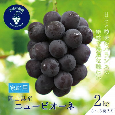 【ふるさと納税】岡山　花笑み農園の『ニューピオーネ』家庭用　約2kg(3～5房)　P-2家【9月上旬～順次発送】【配送不可地域：離島】【1650750】