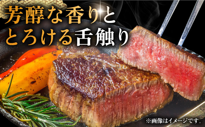 壱岐牛 シャトーブリアン 120g×2枚 《壱岐市》【中津留】[JFS005] 肉 牛肉 和牛 ヒレ ステーキ ヒレステーキ 2枚 冷凍配送 33000 33000円