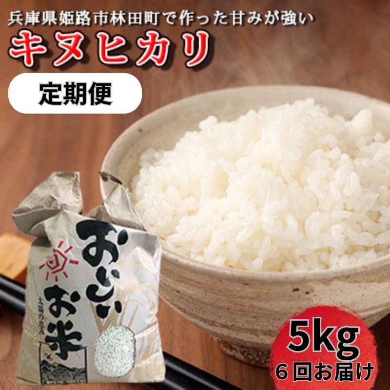 【ふるさと納税】[先行予約令和7年産新米]＜10月初旬以降発送予定＞]定期便6回お届けきぬひかり5キロ 兵庫県姫路市産 新米 白米 米 お米　お届け：2025年10月上旬より順次出荷