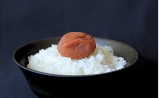 紀州南高梅　ほんまもんの梅干し　白干し梅（塩分約20%）330g / 田辺市 A級品 2L 3L 南高梅 白干 白干梅 梅干 梅 うめ 肉厚 お米 おにぎり 和歌山県【mry023-1】