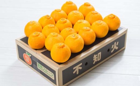 訳あり不知火 【デコポンと同品種】5kg 愛南フルーツ 不知火