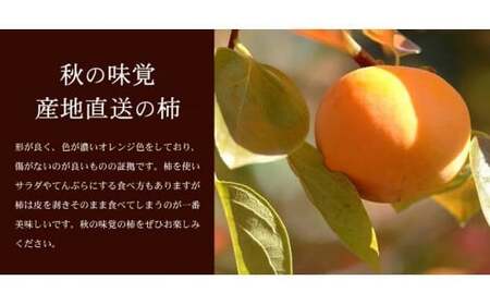  和歌山の 種なし 柿 約7.5kg【秀品：サイズ・品種おまかせ】和歌山県産/紀伊国屋文左衛門本舗　※2025年9月下旬～2025年11月下旬頃に順次発送予定(お届け日指定不可) / かき 柿 たねな