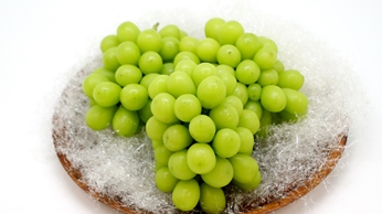 【ふるさと納税】《先行予約》至極の果実シャインマスカット2kg | 豊後高田市 シャインマスカット