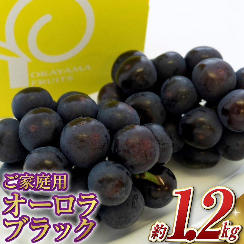 【ふるさと納税】ぶどう 2025年 先行予約 ご家庭用 オーロラブラック 2～3房 合計約1.2kg ブドウ 葡萄 岡山県産 国産 フルーツ 果物 ギフト　 果物 ぶどう フルーツ スッキリ 種なし 大粒 人気 美味しい 高糖度 子供【2025年8月下旬～9月下旬 発送予定】