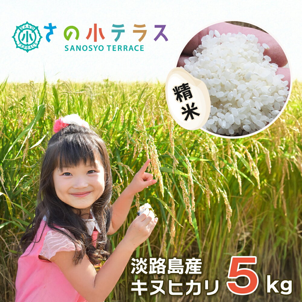 【ふるさと納税】淡路島産キヌヒカリ 5kg （精米） 白米 5キロ