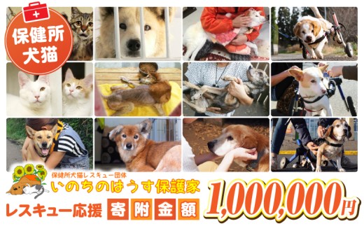 【選べる寄附金額】保健所犬猫レスキュー【返礼品なしのご寄附】