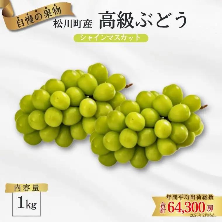 ぶどう シャインマスカット 約1kg／2026年9月中旬～10月頃配送予定［TK09］//長野県 松川町産 南信州 葡萄 ブドウ 種なし 高品質 2～3房 高糖度 高地栽培 シャインマスカット 1kg