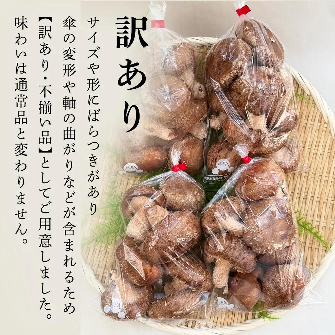 【 訳あり/不揃い 】禅丸椎茸 1kg (250g×4パック) 【岩手県紫波町産】 (FG001)