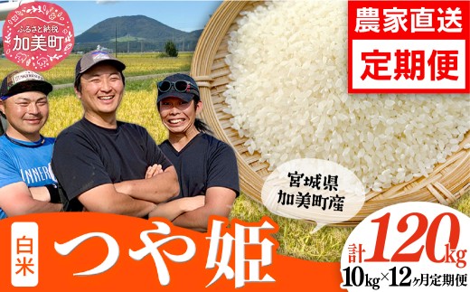 令和8年産【10kg×12回 計120kg】 米 宮城県産 つや姫　定期便  ブランド米 白米 精米 ご飯 ごはん コメ こめ お米 小分け 家庭用 結心ファーム [ 宮城県 加美町 ]   |  yu-th10-t12-r8