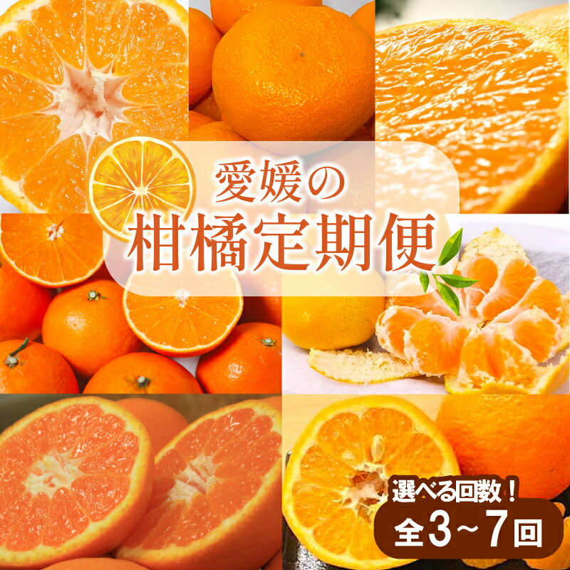 【ふるさと納税】 【先行予約】【全3～7回】 柑橘定期便｜ 興居島みかん あいか はれひめ いよかん温州 温州みかん 愛果 愛果28号 紅まどんな 同品種 伊予柑 せとか カラマンダリン 不知火 定期便 ミカン みかん フルーツ 人気 おすすめ 送料無料 贈答 ギフト 愛媛県 松山市