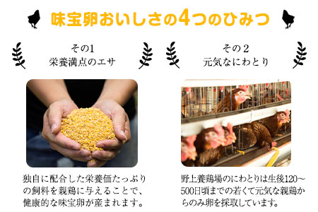 野上さん家の炭火焼 計1.2kg(120g×10パック)《60日以内に出荷予定(土日祝除く)》味宝卵 福岡県 鞍手郡 鞍手町 野上養鶏場