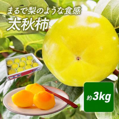 ふるさと納税 綾川町 まるで梨のような食感　太秋柿(たいしゅうがき) 先行予約 [54010097]