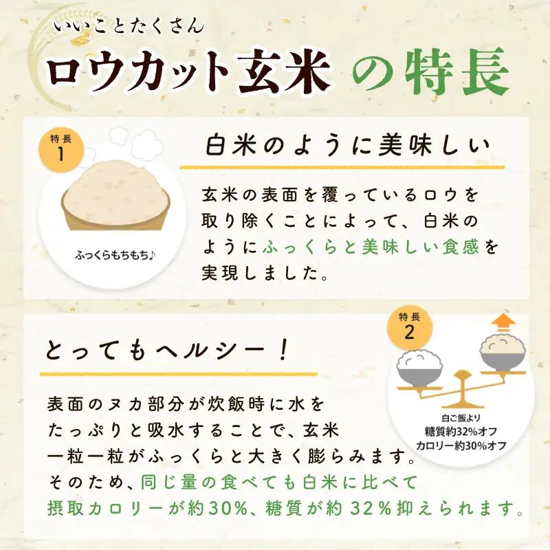 金芽ロウカット玄米 4kg【東洋ライス 2kg×2P】