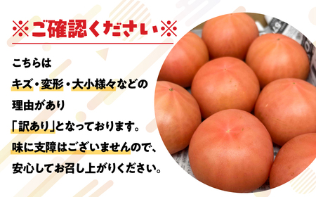 訳ありトマト 約1kg とまと トマト tomato 野菜 甘み サンドイッチ サラダ 訳あり 訳アリ わけあり ワケアリ 規格外 旬 旬の野菜 健康 愛知県 豊橋市