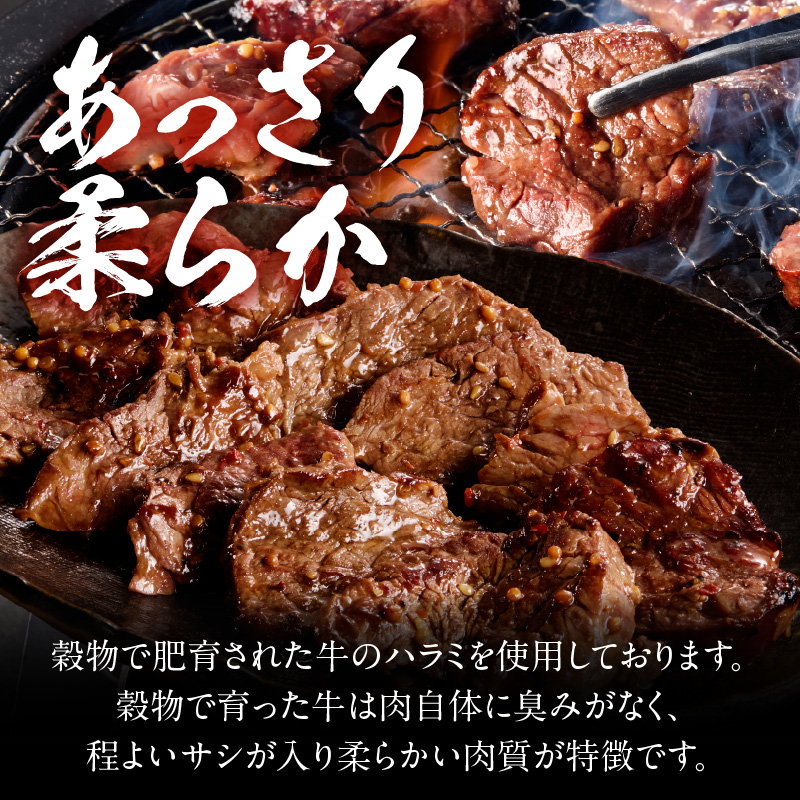 【食肉総合卸 丸正】牛ハラミ味付け 600ｇ［153M08］_イメージ3
