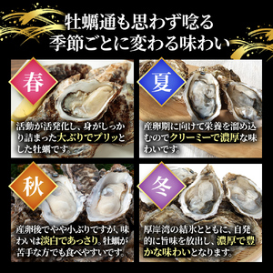 厚岸産牡蠣 3Lサイズ 50個 生食用 かき 牡蠣