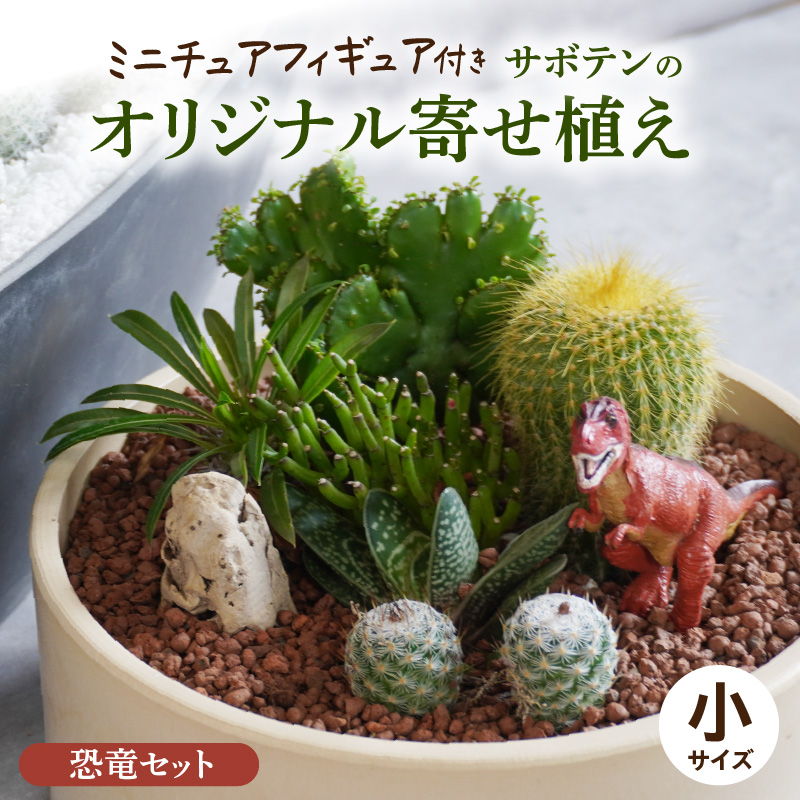 サボテンのオリジナル寄せ植え（小）【恐竜セット】［133O03-01］