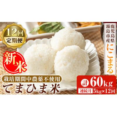 ふるさと納税 霧島市  12回定期《令和7年産新米》てまひま米(品種:にこまる) (計60kg)【末蜜農園】K-198-G