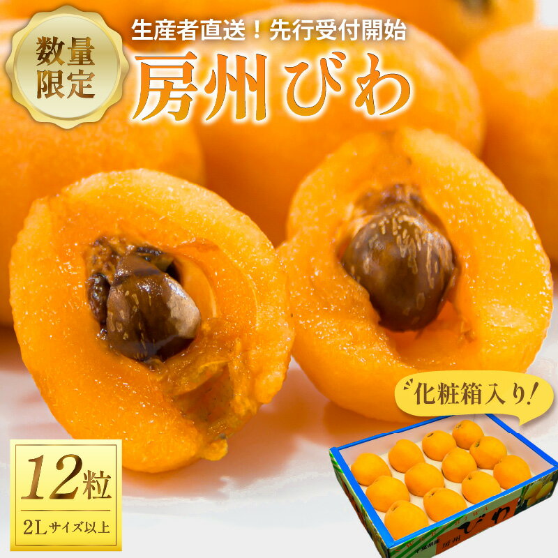 【ふるさと納税】 【2025年5月下旬～6月中旬発送予定】房州びわ2Lサイズ以上×12粒（化粧箱入り） 千葉県 南房総市 大粒 果肉が甘い 軟らかい ジューシー カロテン 食物繊維 栄養素 豊富 甘酸っぱい 送料無料