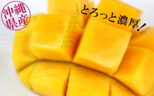 【化粧箱入】【先行受付・2025年発送】ヤマト農園 アップルマンゴー約2kg（秀品）- 先行予約 沖縄県産 産地直送 南国フルーツ 旬の味覚 季節の果物 贈り物 ギフト 沖縄県 八重瀬町