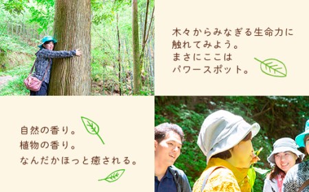 P770-01 【参加型体験】リフレッシュ&デトックス～心癒されるうきはの森林セラピー～