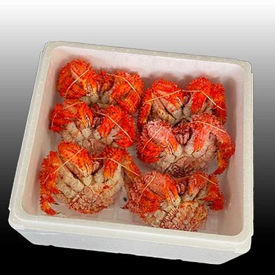 ふるさと納税 根室市 【北海道根室産】花咲かに400g前後〜500g前後×6尾 C-76039 |  | 01