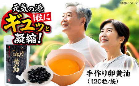 手づくり 卵黄油 120粒 84g 卵 サプリメント 健康 サプリ[AYAX003]