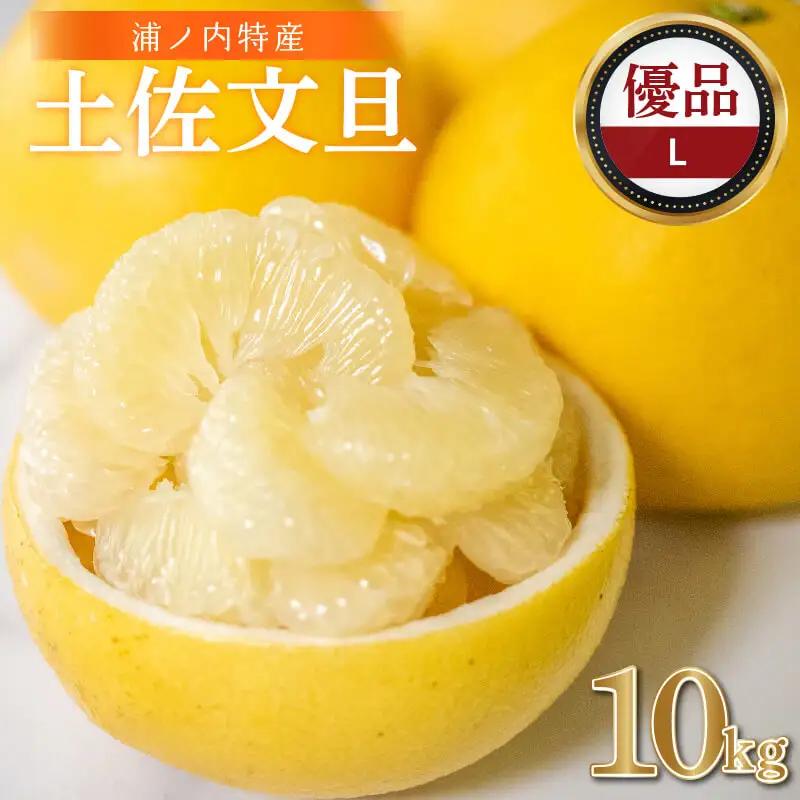 【早期予約開始 2027年2月頃より順次発送】  文旦 土佐文旦 10kg L サイズ 優品 贈答 果物 フルーツ 文旦 ぶんたん ブンタン 浦ノ内 みかん 蜜柑 柑橘 分担 旬 時期 数量限定 期間限定 予約開始 産地直送 美味しい おいしい 爽やか スイーツ おやつ デザート 皮 ピール 砂糖 漬け ビタミン ジューシー フレッシュ 新鮮 明神果樹園 高知県 須崎市