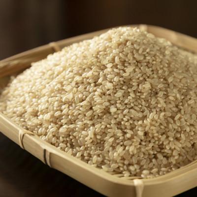 ふるさと納税 酒田市 はえぬき 玄米 5kg |  | 03