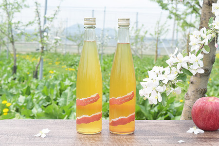 りんごジュース 500ml×2本 ＆りんごジャム 150g×2個のギフトセット リンゴ 果汁 林檎 飲料 アップル 果物 フルーツ 青森 飲み物 ドリンク