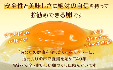 【定期便】えびのの大自然で育ったこだわりタマゴ 康卵 90個×3ヶ月 合計270個 各月破損保証10個含む 赤 Mサイズ 卵 たまご 鶏卵 鶏 国産 九州産 送料無料