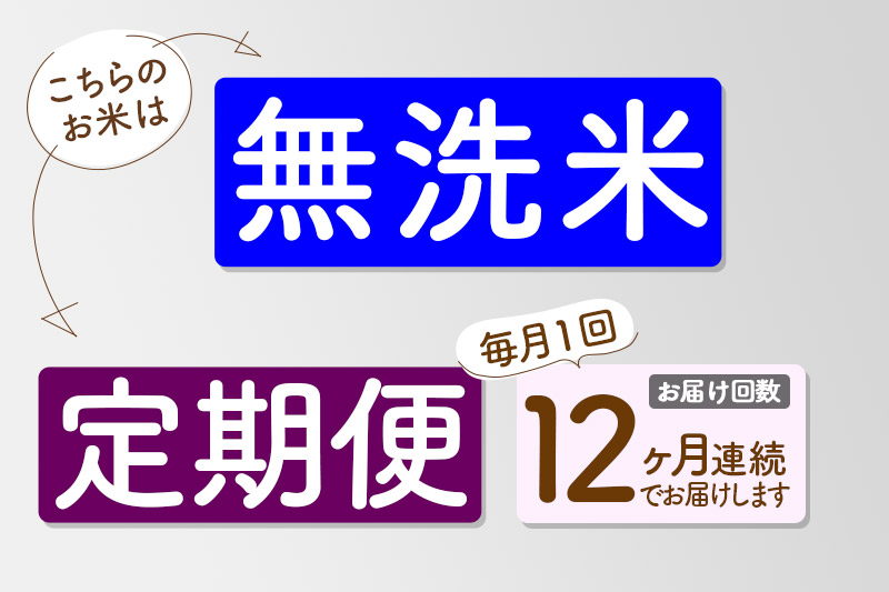 【無洗米】＜令和7年産 新米予約＞《定期便12ヶ月》秋田県産 あきたこまち 15kg (5kg×3袋) ×12回 15キロ お米  新米