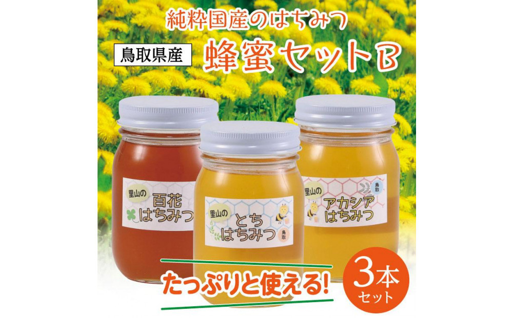 蜂蜜セット B