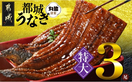 
                  宮崎県育ちの【特大】うなぎ蒲焼3尾680g以上≪山椒・たれ付≫〔M3-006-3〕_(都城市) 特大うなぎ蒲焼(有頭) 宮崎県産 真空 山椒・たれ付
                