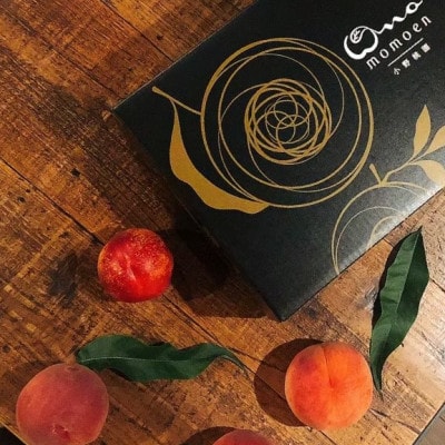 【まず出逢えない幻の山加白桃】人気品種指定ギフト4年連続TV出演話題ブランド2025年7月下旬【配送不可地域：離島・北海道・沖縄県・中国・四国・九州】