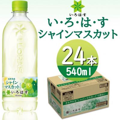 ふるさと納税 砺波市 い・ろ・は・すシャインマスカット　540mlPET×24本