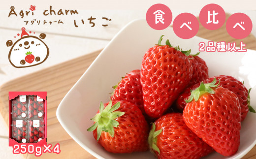 秋吉台のミネラルたっぷり!! Agri charmの いちご 食べ比べセット ( 2品種 以上× 4パック ) 先行予約 ＜ 2026年2月下旬 ~ 4月下旬頃の期間で順次発送予定＞ ｜ いちご 苺 イチゴ フルーツ 果物 食べ比べ 美祢市 山口県 美祢 秋吉台 糖度 甘い 期間限定