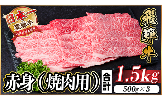 レビューキャンペーン実施中!飛騨牛　厳選赤身(焼肉・BBQ用)1.5kg　A4～A5等級　小分け【配送不可地域：離島】