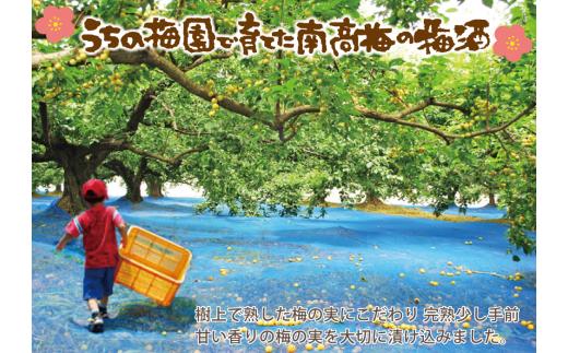 自家梅園産　完熟南高梅梅酒3種　【yokosho002A】
