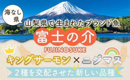 【2024年1月下旬以降発送／先行受付】富士の介丸ごとセット