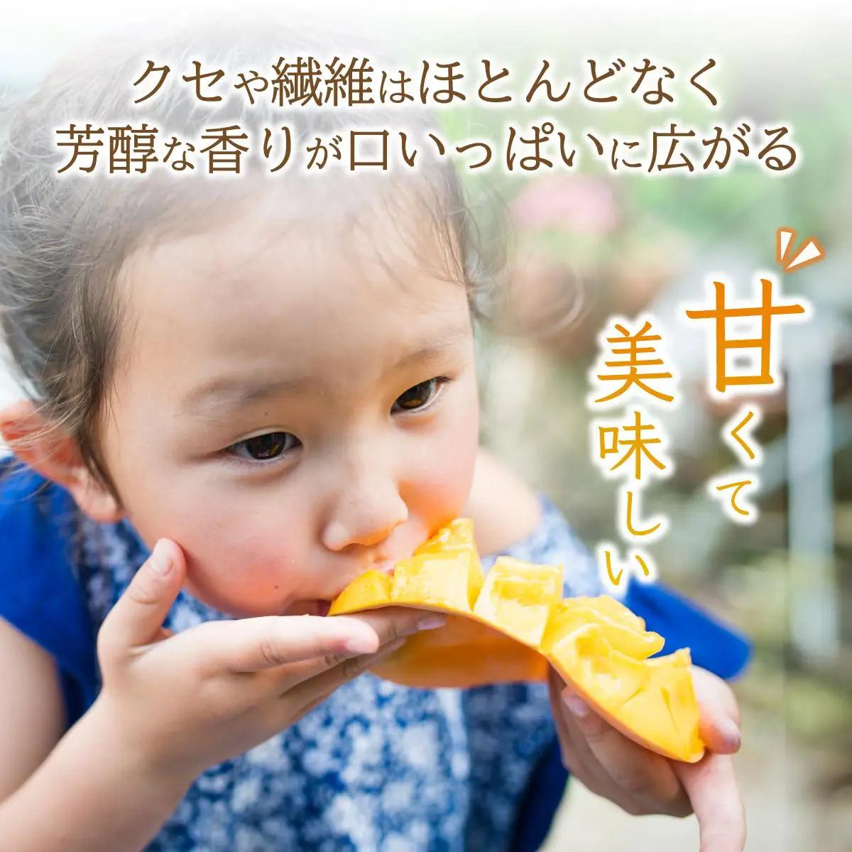 【訳あり】マンゴー サイズ不揃い 2～3玉 (約1kg) KP-26