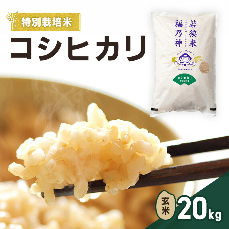 【ふるさと納税】令和8年産 特別栽培米 コシヒカリ 20kg（玄米） 米 お米 こしひかり 若狭町　お届け：2026年10月上旬～2027年3月下旬