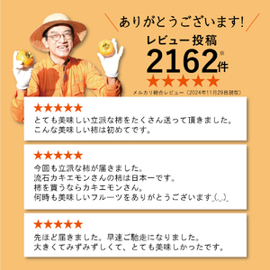 お試しに！カキエモン農園の紀の川柿 約2kg 【2025年10月中旬～11月中旬頃順次発送】/ 果物 くだもの フルーツ 柿 かき 和歌山 人気 送料無料【BX-kkem005】