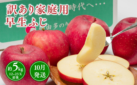 10月発送【訳あり】家庭用早生ふじ 約5kg 【那由多のりんご園・平川市産・早生ふじ】りんご リンゴ 林檎 りんご 青森 平川市産 
